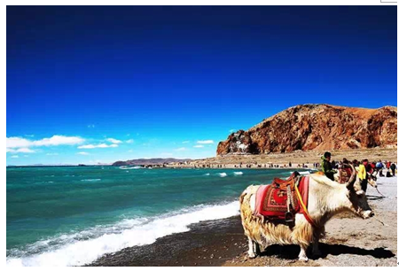 ��ԭ֮�����������������ţ��