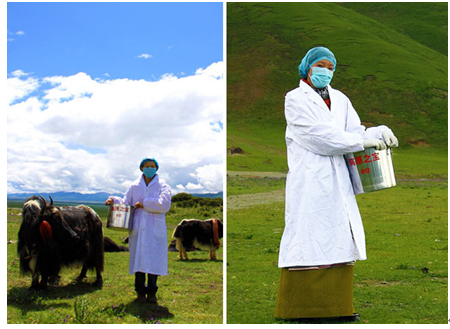 ��ԭ֮�������������أ������Դ�ؽ���ȷ��ԭ������