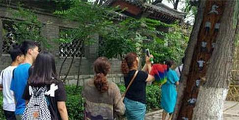 树洞惊现武功秘籍 人物惟妙惟肖栩栩如生