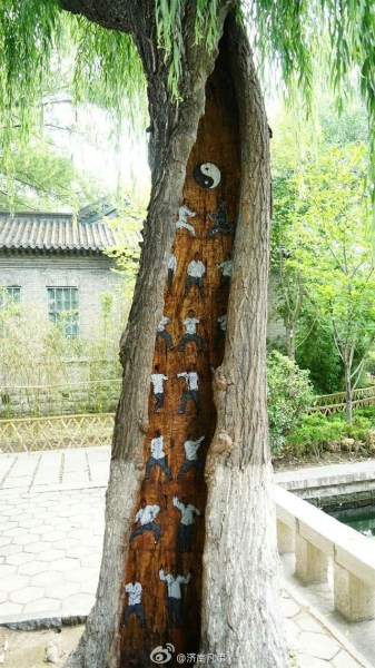 树洞惊现武功秘籍 网友：古装版广播体操【图】