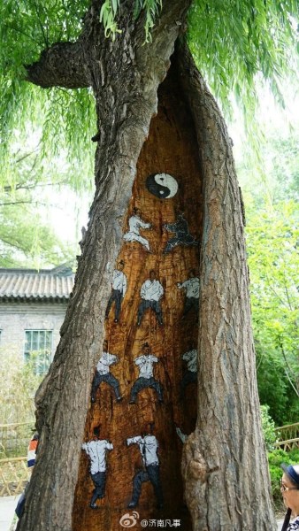 树洞惊现武功秘籍 网友：古装版广播体操【图】