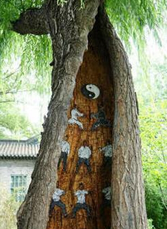 树洞惊现神秘武功秘籍 这位少年，我看你骨骼精奇来大明湖练武功吧