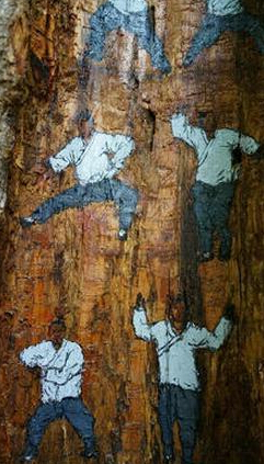 树洞惊现神秘武功秘籍 这位少年，我看你骨骼精奇来大明湖练武功吧