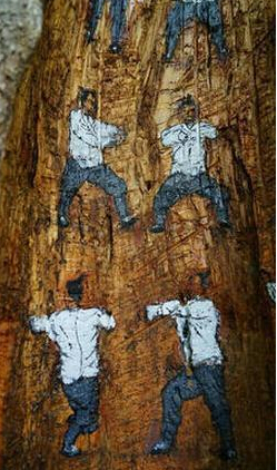 树洞惊现神秘武功秘籍 这位少年，我看你骨骼精奇来大明湖练武功吧