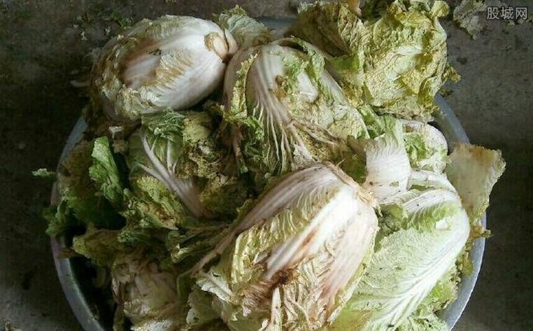 学生营养餐用烂菜