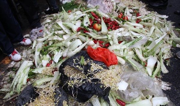 学生营养餐用烂菜  近10倍的价格卖给学校食堂