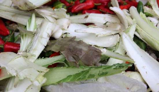 学生营养餐用烂菜  近10倍的价格卖给学校食堂