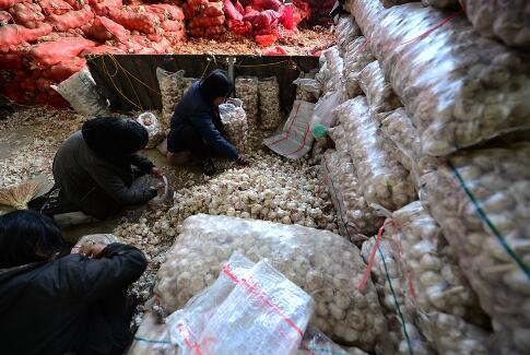 腊八临近大蒜每斤涨2元 超市里售价最高的在20元左右