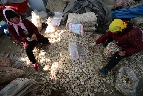 腊八临近大蒜每斤涨2元 超市里售价最高的在20元左右