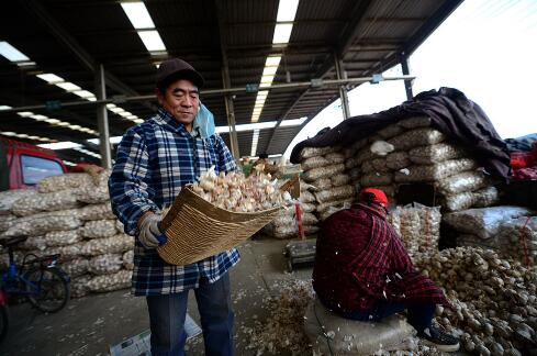 腊八临近大蒜每斤涨2元 超市里售价最高的在20元左右