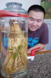 费县一村民泡在酒中15年的人参 竟然“开花”了！