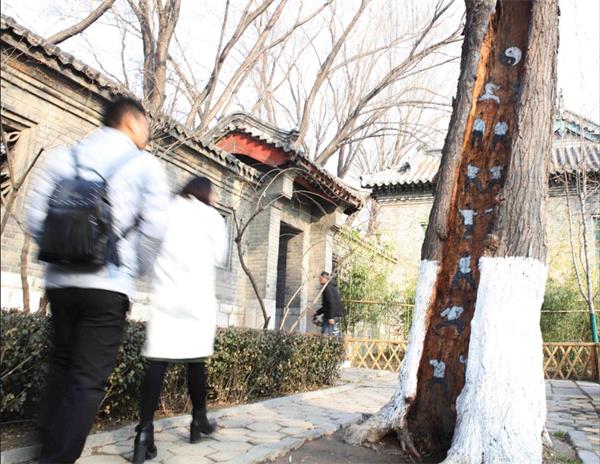 济南大明湖树洞现手绘武功秘籍 一招一式都栩栩如生