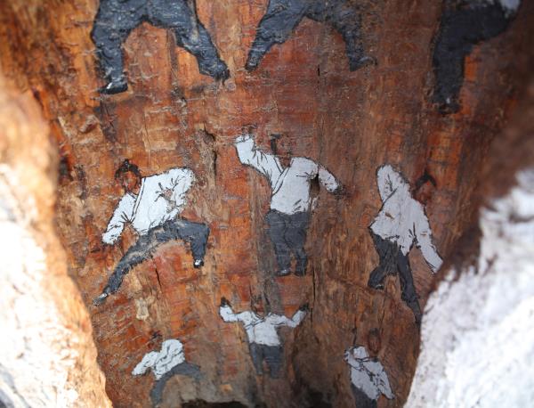 济南大明湖树洞现手绘武功秘籍 一招一式都栩栩如生