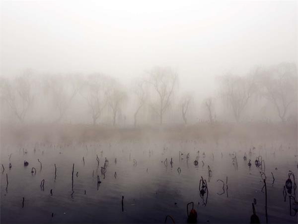 组图：浓雾下的浓墨明湖似仙境