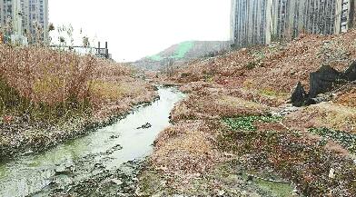 绿地国际花都东侧河道建筑垃圾成山 气味难闻