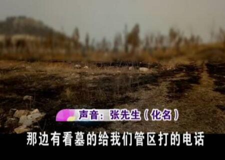 济南一市民家祖坟被挖 骨灰被绑架……