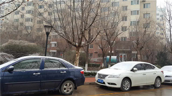 大年初二济南迎来鸡年第一场雪 出行注意路滑