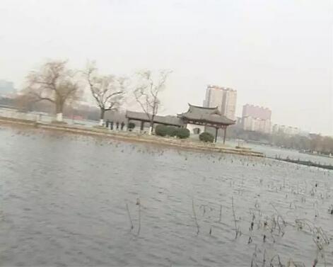 带病救人！济南一小伙不顾感冒冰冷湖水中勇救落水男子 