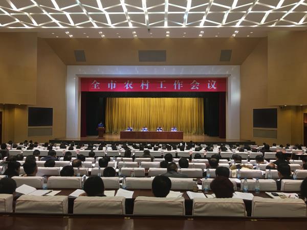 济南市农村工作会议召开 雷杰出席会议并讲话