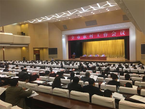 济南市农村工作会议召开 雷杰出席会议并讲话