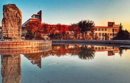 对接“一带一路”山东外贸开门红!增幅领跑全国