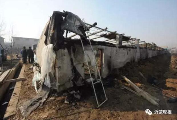 山东临沂40万元草莓大棚一夜成灰烬 孔明灯惹的祸