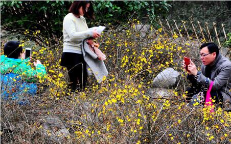 济南“断崖式”降温来啦!明天还有中到大雪