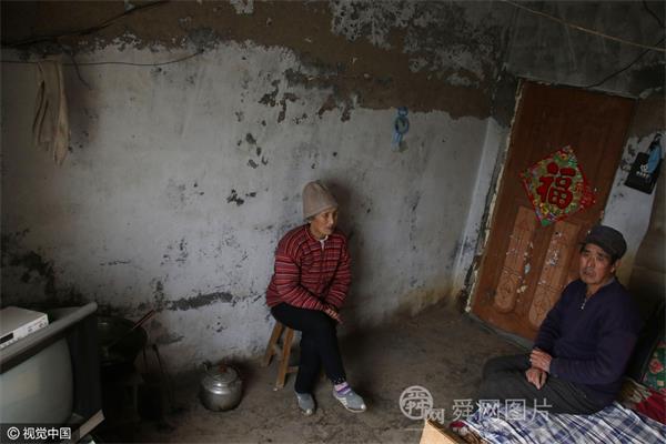 山东滨州：2千只鸽子被烧死 损失近20万元