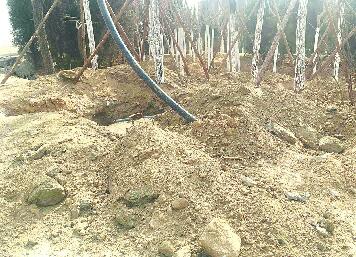 啄木鸟在行动:药山公园附近建筑垃圾裸露