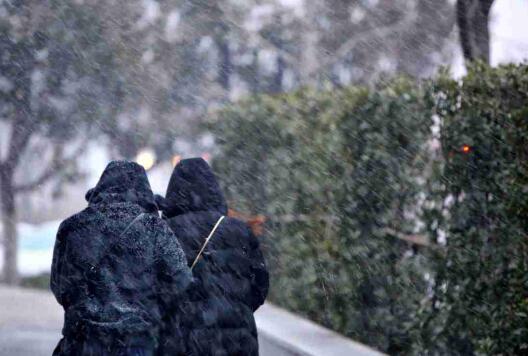 降雪如约而至！济南迎来鸡年首场降雪