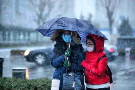 降雪如约而至！济南迎来鸡年首场降雪