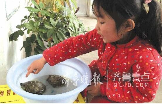 春节后济南留守娃:妈妈打工去了 小乌龟被命名