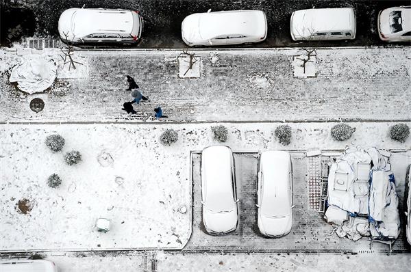 济南：春雪过后大地“染白” 道路基本通畅无积雪