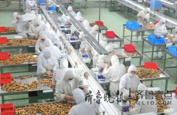 �ĳ�һ���򳤴�ְ��ҵ һ����10��Ԫ����è������