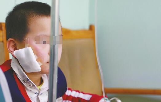 ��ɫ��һ��ҧ��6�˱����� ûоƬ��Ϊ����Ȯ�򡰺ڻ���