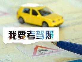 济南驾考三科合格率均下降 盲目预约或成下降主因