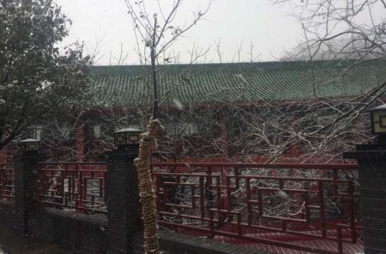 驱尘春雪短暂飘 济南3小时气温从8℃骤降至1℃