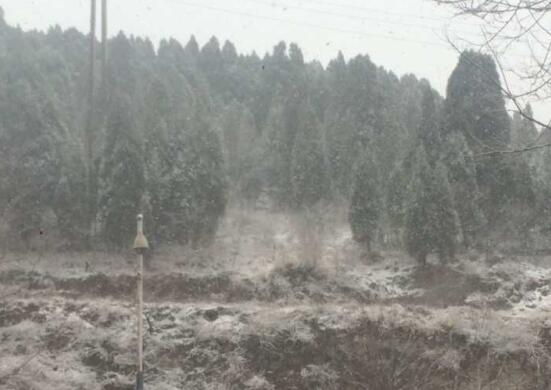 驱尘春雪短暂飘 济南3小时气温从8℃骤降至1℃