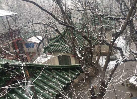驱尘春雪短暂飘 济南3小时气温从8℃骤降至1℃