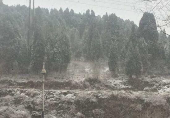 驱尘春雪短暂飘 济南3小时气温从8℃骤降至1℃