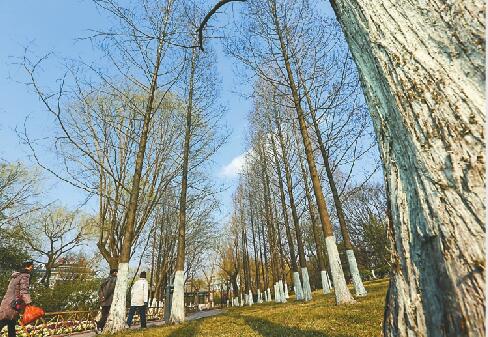 雾风雨雪晴一天内切换自如 济南的春天就这样“狂野”