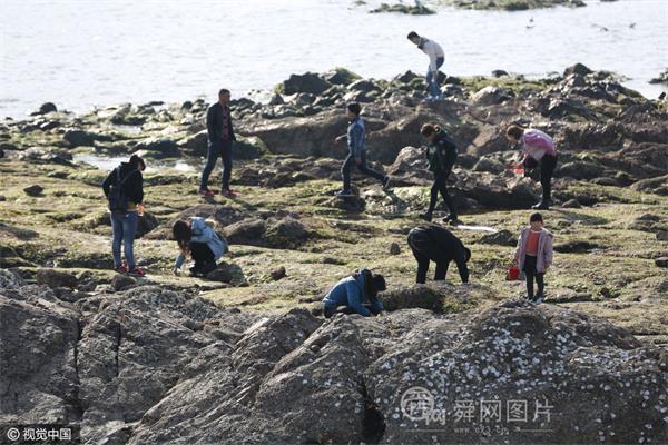 组图：青岛春光明媚 市民栈桥赶海乐