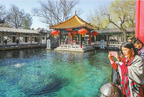 春风拂面宜赏泉 济南趵突泉水位比去年同期高出约半米