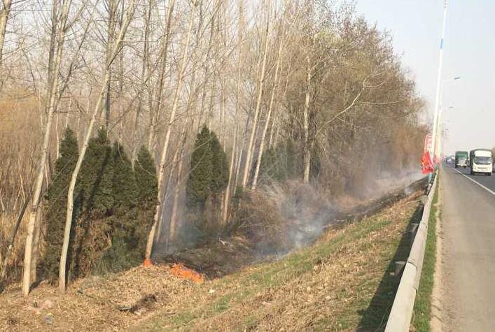 突发！济南G35北侧一护坡着火 过火面积已有200多平方米