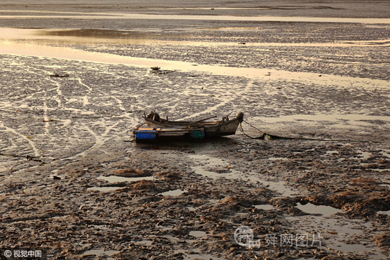 青岛：潮水退去唐岛湾成“枯水”湾 渔船被搁浅