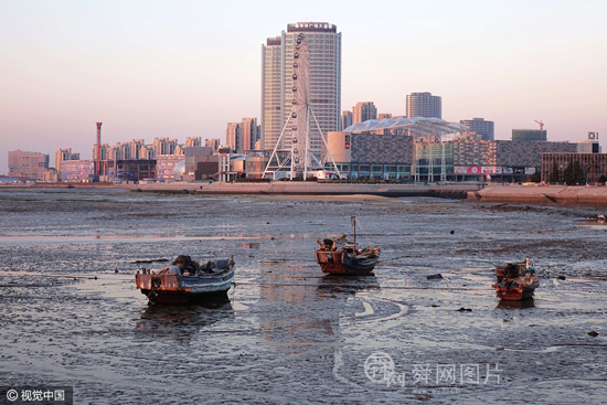 青岛：潮水退去唐岛湾成“枯水”湾 渔船被搁浅