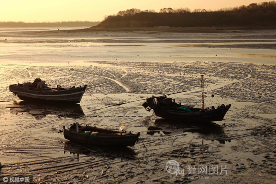 青岛：潮水退去唐岛湾成“枯水”湾 渔船被搁浅