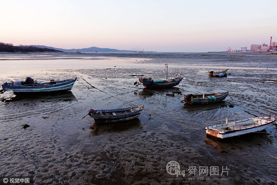 青岛：潮水退去唐岛湾成“枯水”湾 渔船被搁浅