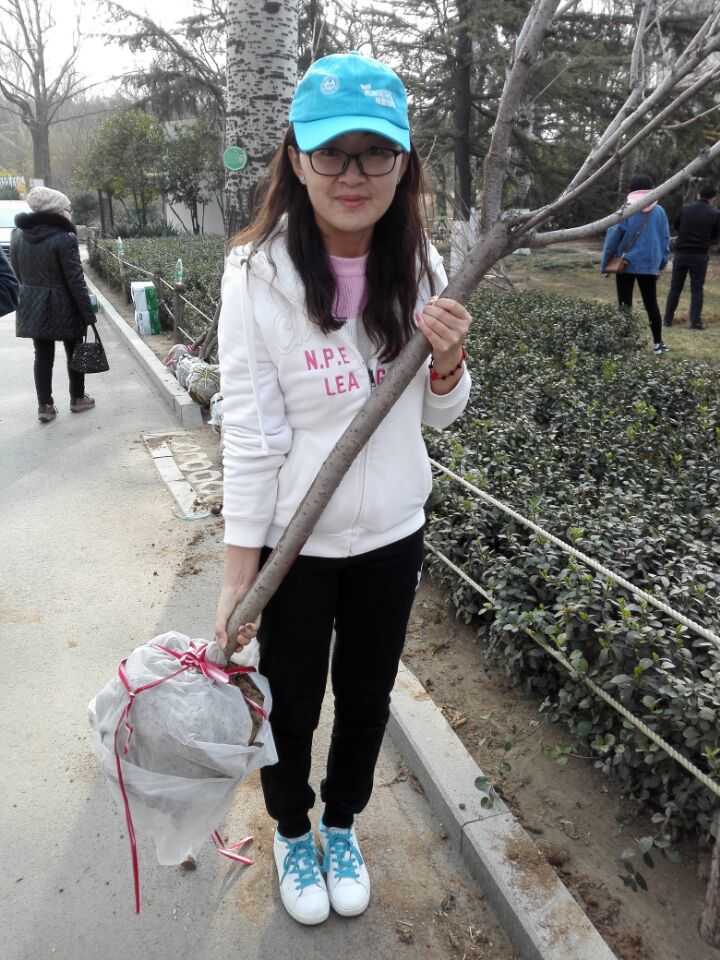 3月种下樱花树 下月或见樱花开