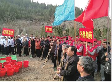 为泉城添绿我们在行动 济南群众性春季植树造林月活动启动